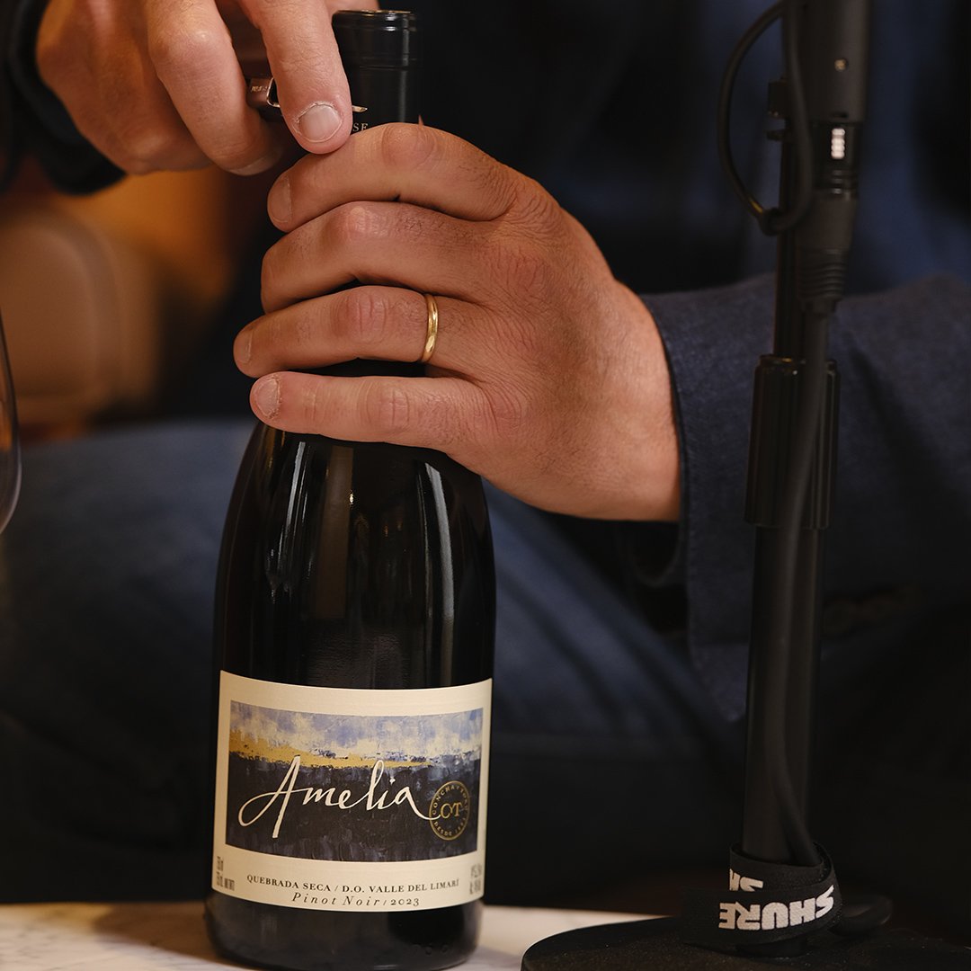 Marcelo Papa - Diretor Técnico de todo portfólio da Concha y Toro